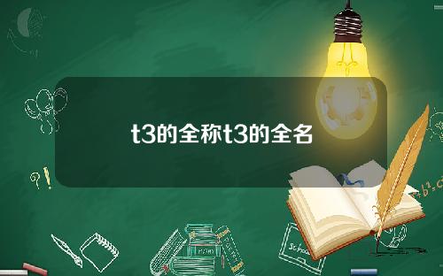 t3的全称t3的全名
