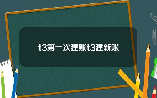 t3第一次建账t3建新账