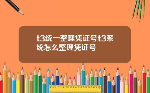 t3统一整理凭证号t3系统怎么整理凭证号