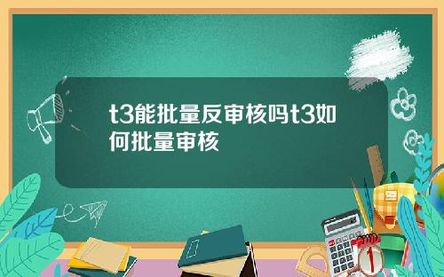 t3能批量反审核吗t3如何批量审核