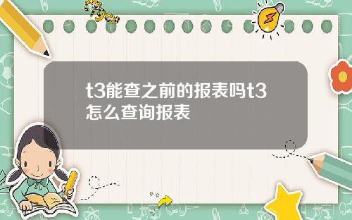 t3能查之前的报表吗t3怎么查询报表