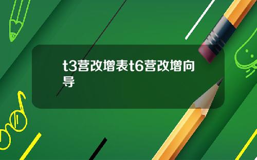 t3营改增表t6营改增向导