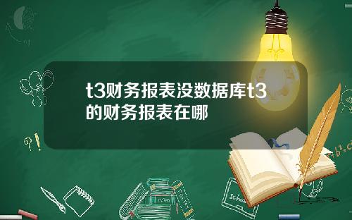 t3财务报表没数据库t3的财务报表在哪