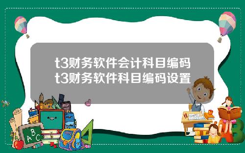 t3财务软件会计科目编码t3财务软件科目编码设置