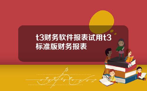 t3财务软件报表试用t3标准版财务报表