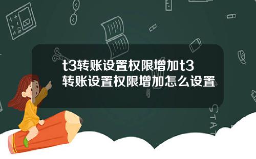 t3转账设置权限增加t3转账设置权限增加怎么设置