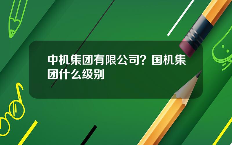 中机集团有限公司？国机集团什么级别