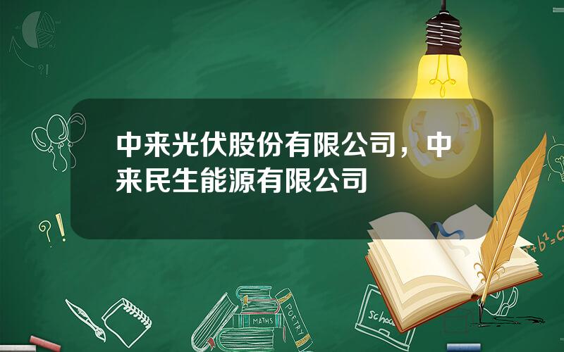 中来光伏股份有限公司，中来民生能源有限公司