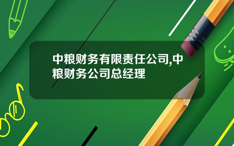 中粮财务有限责任公司,中粮财务公司总经理