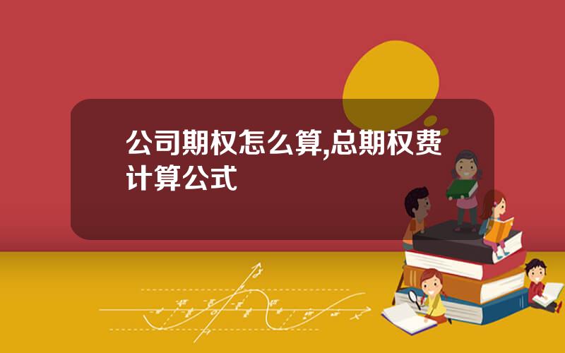 公司期权怎么算,总期权费计算公式