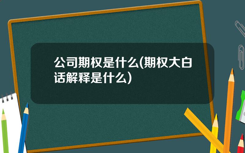 公司期权是什么(期权大白话解释是什么)