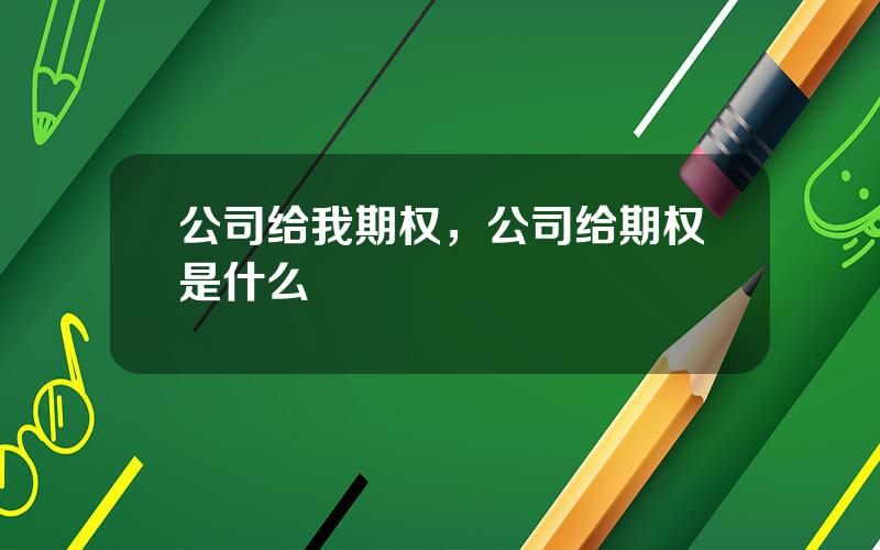 公司给我期权，公司给期权是什么