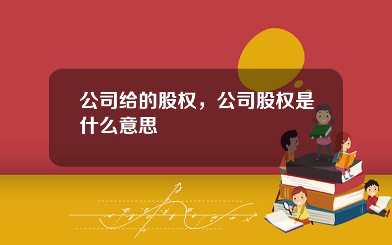 公司给的股权，公司股权是什么意思