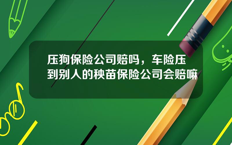 压狗保险公司赔吗，车险压到别人的秧苗保险公司会赔嘛