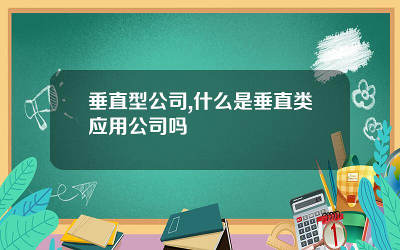 垂直型公司,什么是垂直类应用公司吗