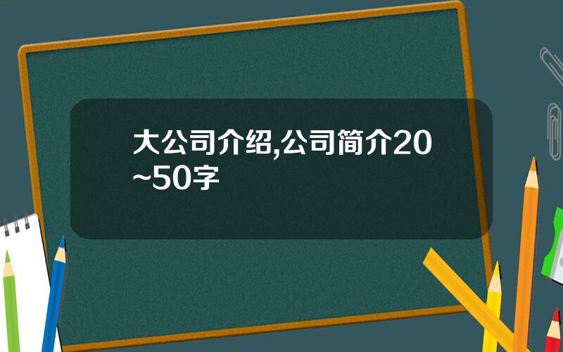 大公司介绍,公司简介20~50字