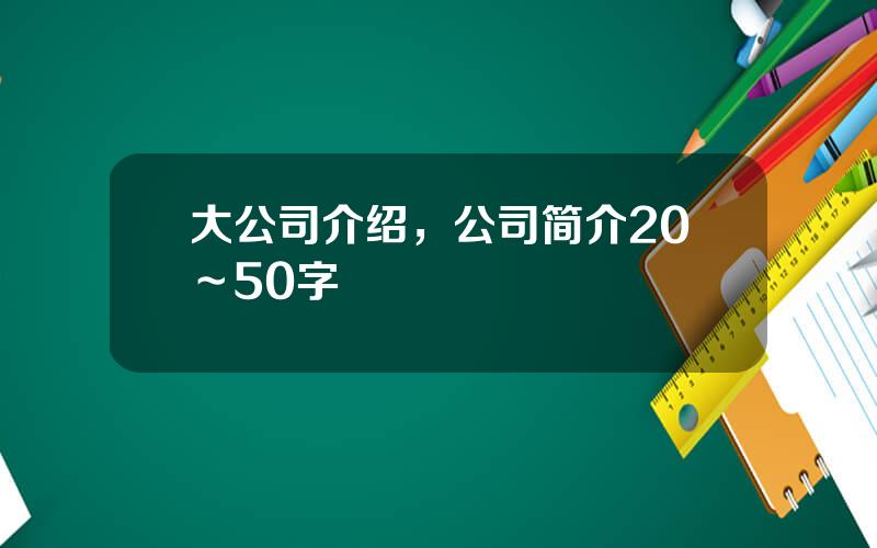 大公司介绍，公司简介20～50字