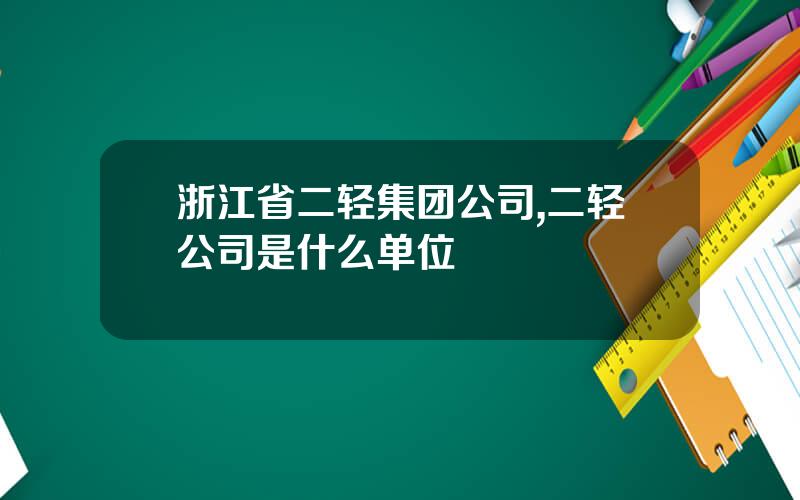 浙江省二轻集团公司,二轻公司是什么单位