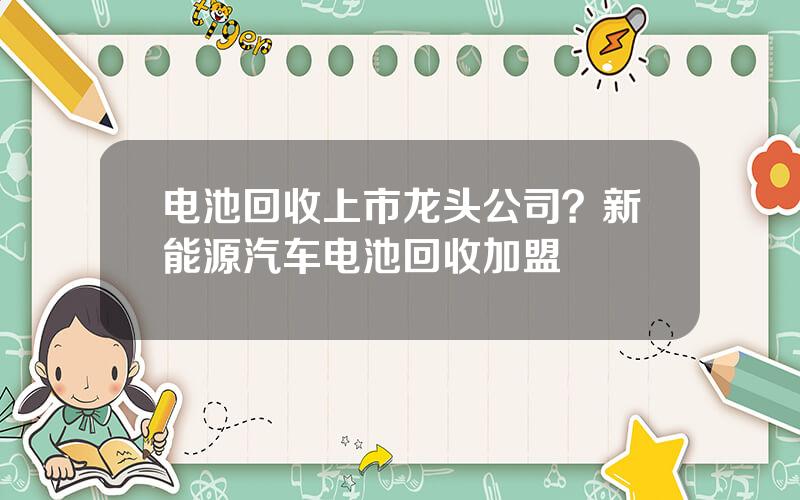 电池回收上市龙头公司？新能源汽车电池回收加盟